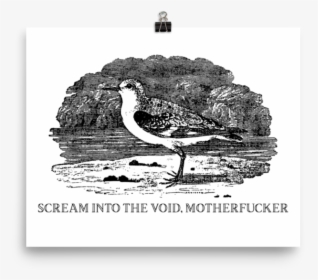 Scream Into The Void"  Srcset="data - Scream Into The Void, HD Png Download, Free Download